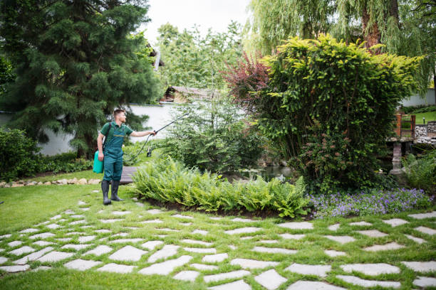 Best Tree Risk Assessment  in Salina, OK