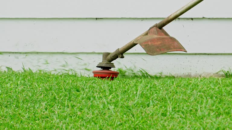 Best Sod Installation  in Salina, OK