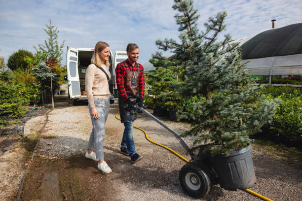 Best Root Management and Removal  in Salina, OK