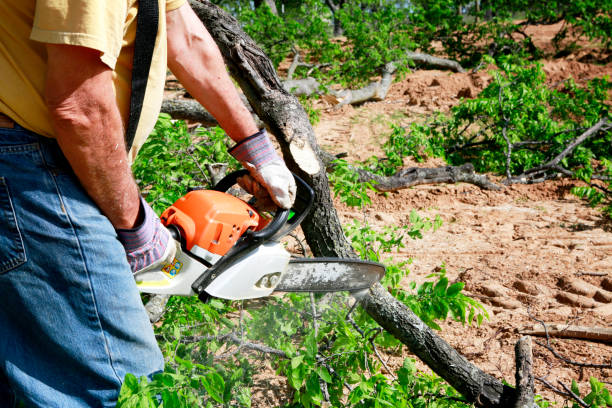 Best Grass Overseeding  in Salina, OK